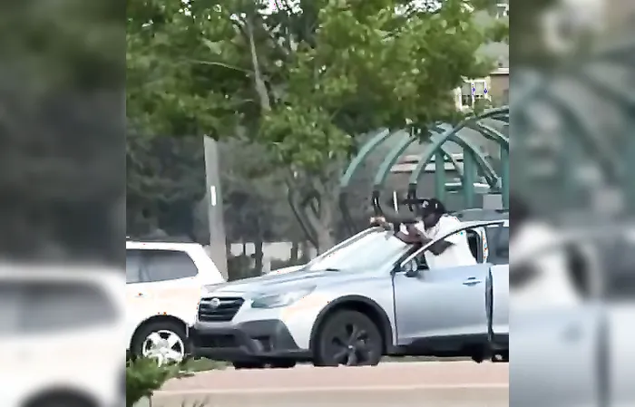 Dude opens fire in broad daylight during road rage incident