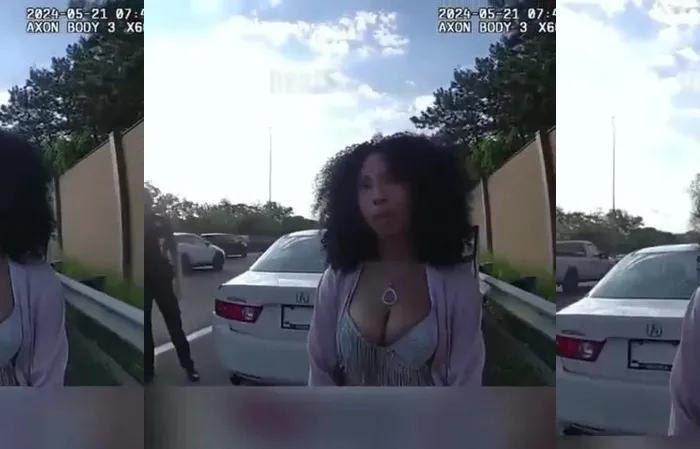 Chicago woman struggles with ABCs during cop stop
