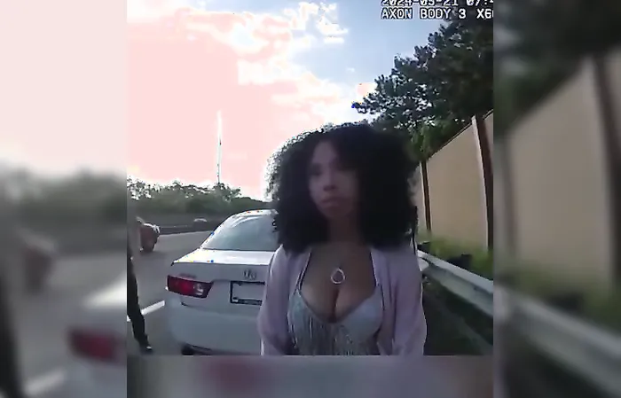 Chicago woman struggles with ABCs during cop stop