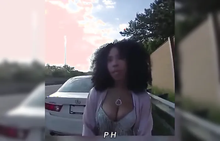 Chicago woman struggles with ABCs during cop stop