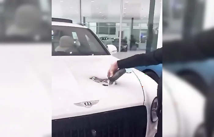 How the heck did that seriously work?