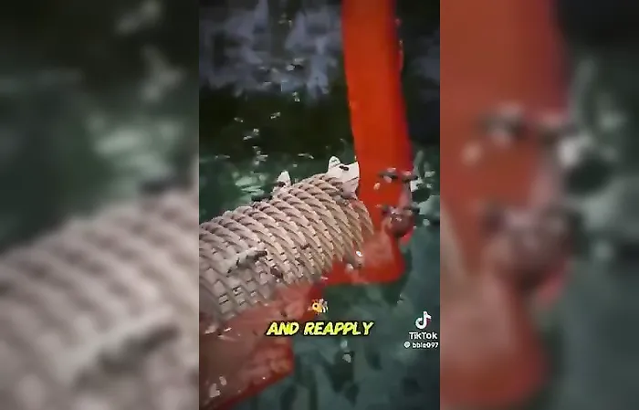 Video shows one of the worst punishments in human history