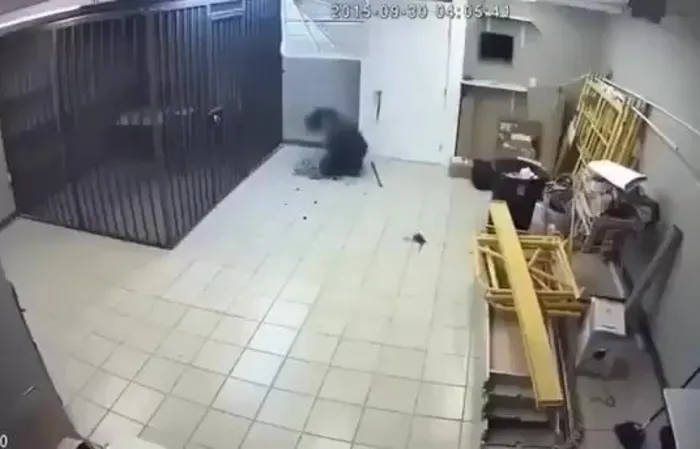 Store owner built a hidden trapdoor to catch thieves