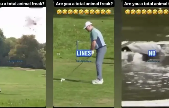 Golfer can't stop hitting animals