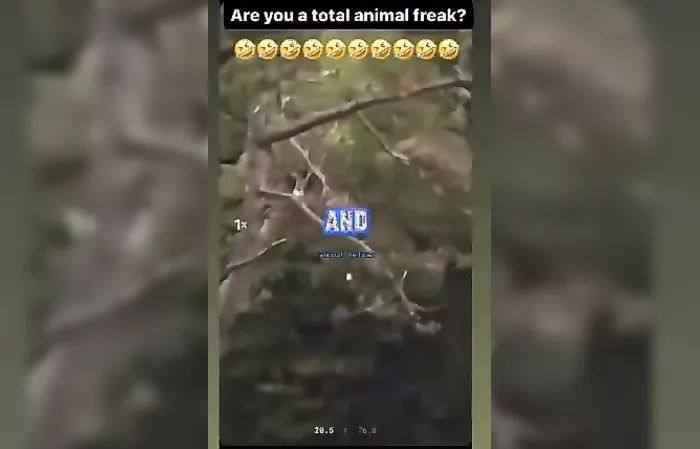 Golfer can't stop hitting animals