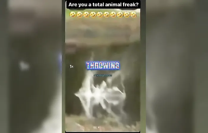 Golfer can't stop hitting animals
