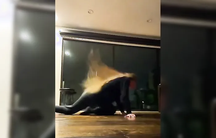 Elon Musk's estranged transgender son shows off ‘feminine’ dance moves