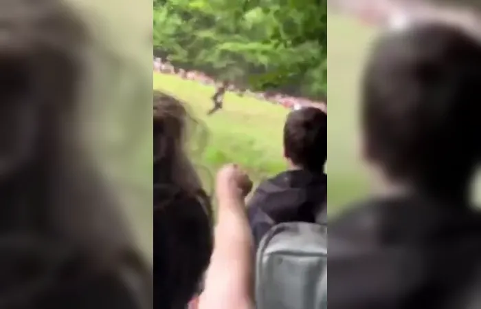 Man goes AIRBORN chasing a cheeseball down steep 200-yard hill