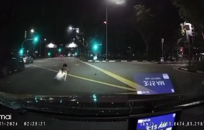 Crossing on a green light while on the phone was terrible idea