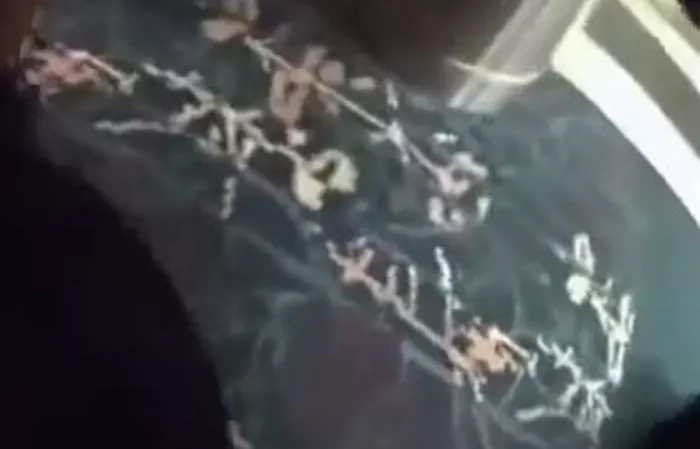 Security tosses entitled plane passenger on floor after she SPIT on gate agent