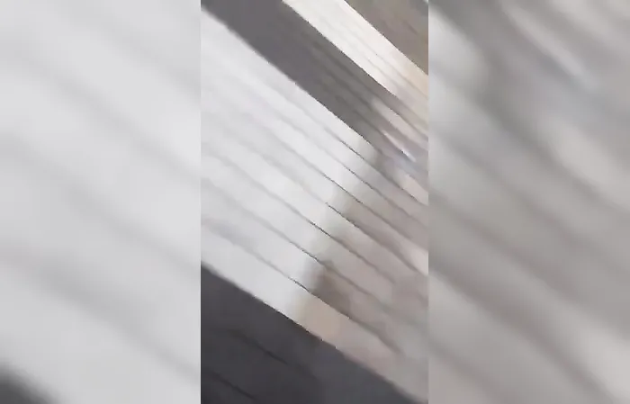 Young girl films video as Mexican boat crashes and people fall off