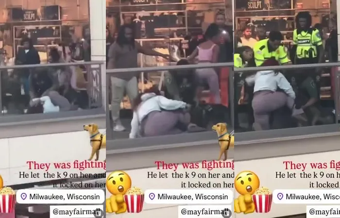 Mall Cop uses K-9 on a black girl in the Mayfair mall