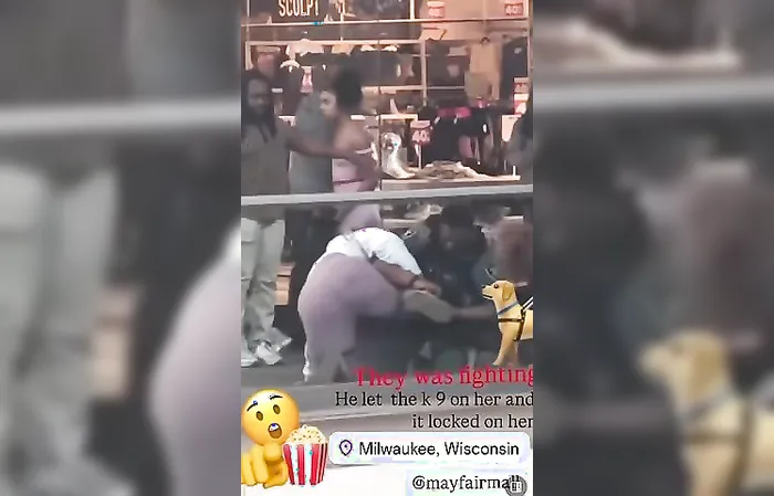 Mall Cop uses K-9 on a black girl in the Mayfair mall