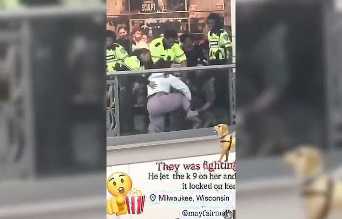 Mall Cop uses K-9 on a black girl in the Mayfair mall