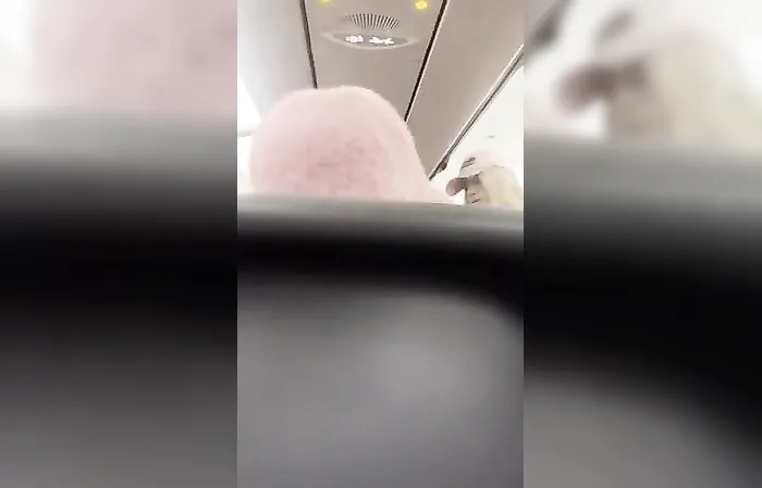 'You have no hair, bald b*tch' - some lady on a plane