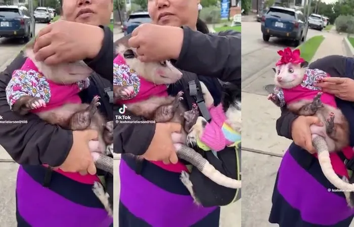 Woman shows off her very dressed up possum