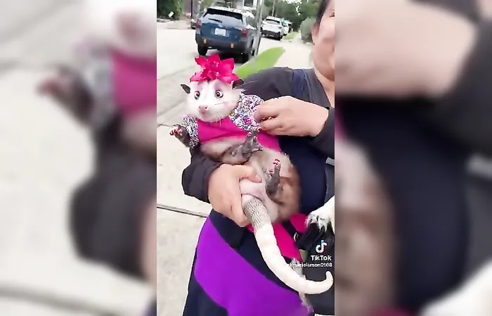 Woman shows off her very dressed up possum