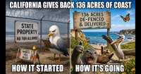 california-gives-back-136-acres-of-coast-it-probably-shouldn-t-have-taken.jpg