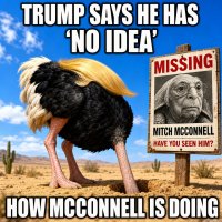 trump-says-he-has-no-idea-how-mcconnell-is-doing.jpg