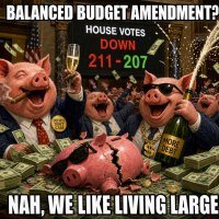 house-votes-down-balanced-budget-amendment-211-207.jpg