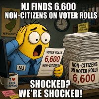 nj-finds-6-600-non-citizens-on-voter-rolls-shocked-pikachu.jpg