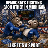 democrats-fighting-each-other-in-michigan-like-it-s-a-sport.jpg