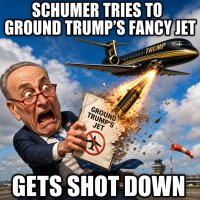 schumer-tries-to-ground-trump-s-fancy-jet-gets-shot-down.jpg