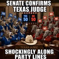 senate-confirms-texas-judge-shockingly-along-party-lines.jpg