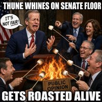 thune-whines-on-senate-floor-about-critics-gets-roasted-alive.jpg