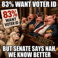 83-want-voter-id-but-senate-says-nah-we-know-better.jpg