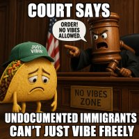 court-says-undocumented-immigrants-can-t-just-vibe-freely.jpg
