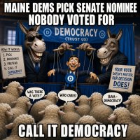 maine-dems-pick-senate-nominee-nobody-voted-for-call-it-democracy.jpg