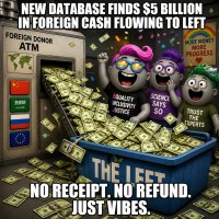 new-database-finds-5-billion-in-foreign-cash-flowing-to-left.jpg