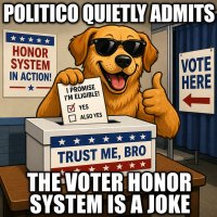 politico-quietly-admits-the-voter-honor-system-is-a-joke.jpg