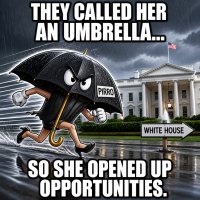 pirro-gets-called-an-umbrella-races-to-white-house.jpg