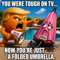 trump-blasts-pirro-for-folding-like-an-umbrella-over-pool-case.jpg