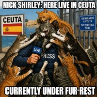 journalist-nick-shirley-gets-swarmed-while-reporting-in-ceuta.jpg