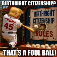 trump-takes-another-swing-at-birthright-citizenship-rules.jpg