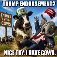 trump-endorsement-can-t-save-gop-rep-from-farmer-with-cows.jpg