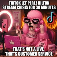 tiktok-let-perez-hilton-stream-crisis-for-30-minutes.jpg