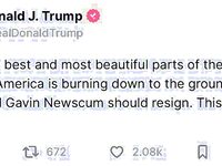 Good memes and bad tweets 4