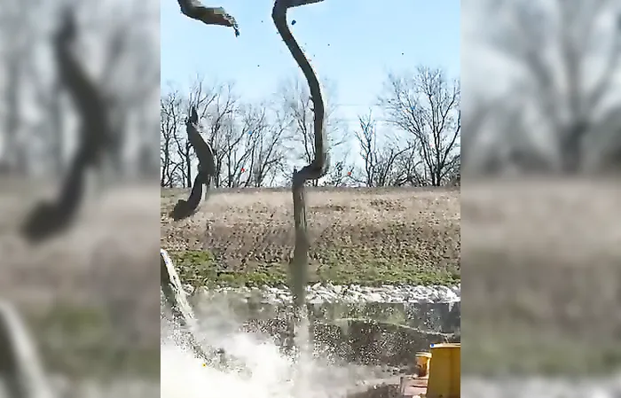 When the first sip of coffee kicks in