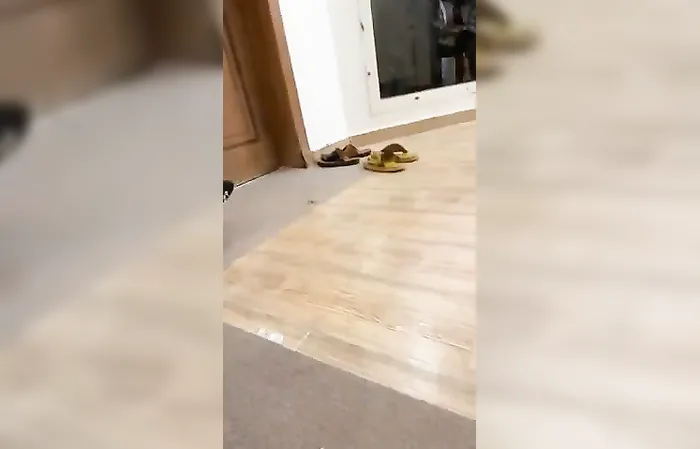 Arabs prank someone's sandals with snaps