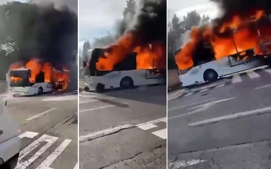 EV buses deemed unreliable, breaking down twice as often