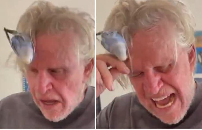 Gary Busey playing with his birds