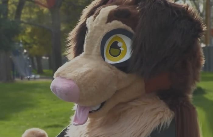 ‘Furries’ are in the news, here’s why