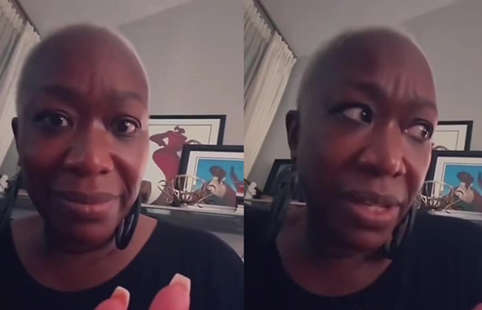 Joy Reid yaps gibberish about Trump supporters