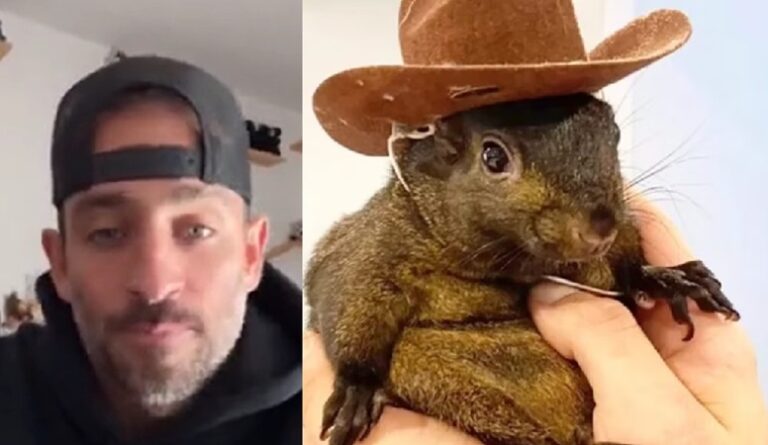 Peanut the Squirrel owners file intent to sue New York
