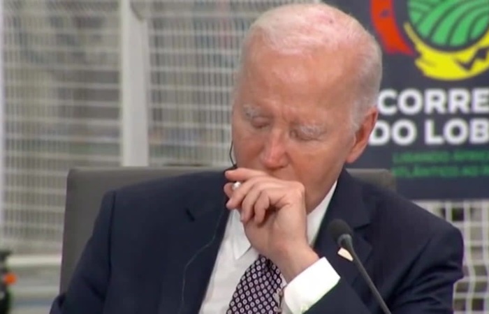 Joe Biden appears to fall asleep at meeting with African leaders