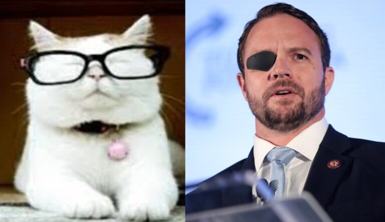 Dan Crenshaw flips out with profanity on ‘Catturd’